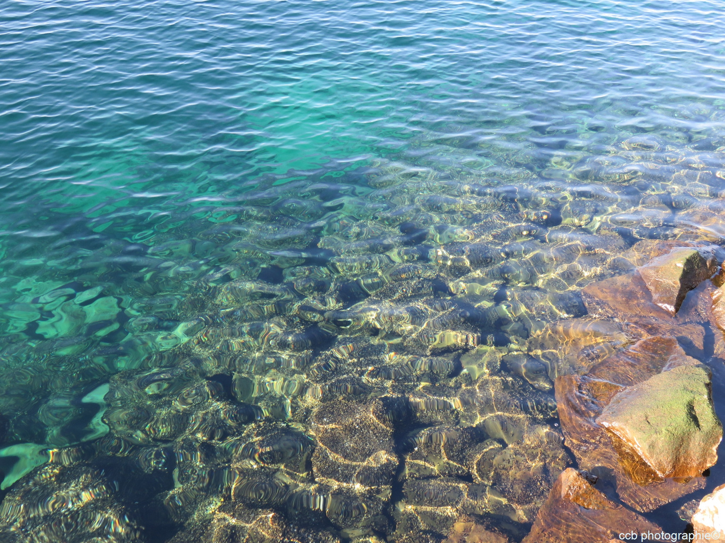 Le Léman, nos Caraîbes à nous 