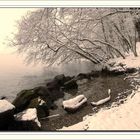 Le léman sous la neige