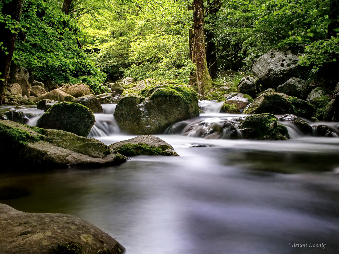 Le lignon en Ardèche