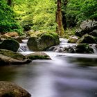 Le lignon en Ardèche