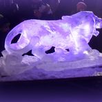 Le lion de glace .....