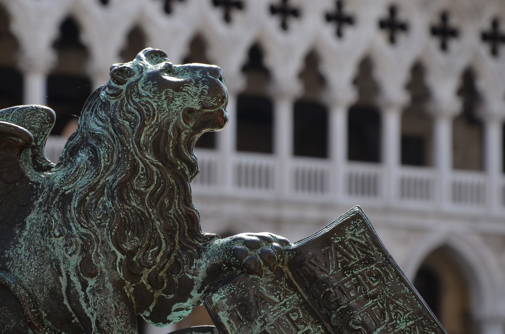 Le lion de Venise