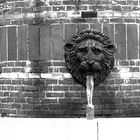 Le lion inéffable de la fontaine...