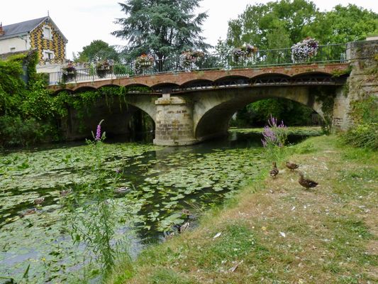 Le Loir à La Flèche commune en Sarthe 4