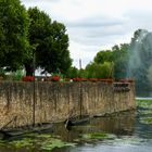 Le Loir à La Flèche commune en Sarthe -6