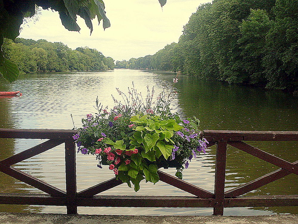 LE LOIRET PETIT AFFLUENT DE LA LOIRE