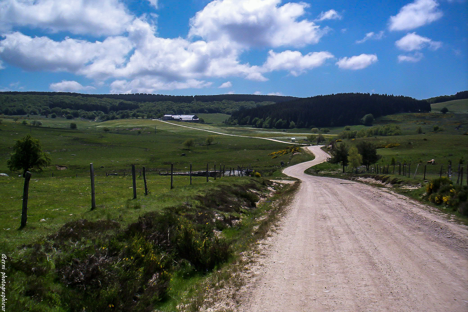 le long chemin