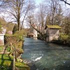 Le long de la Bèze au printemps