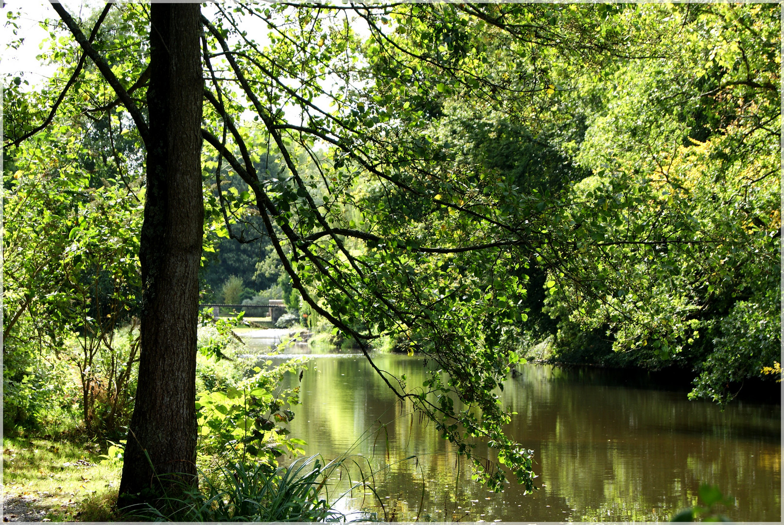 Le long de la rivière