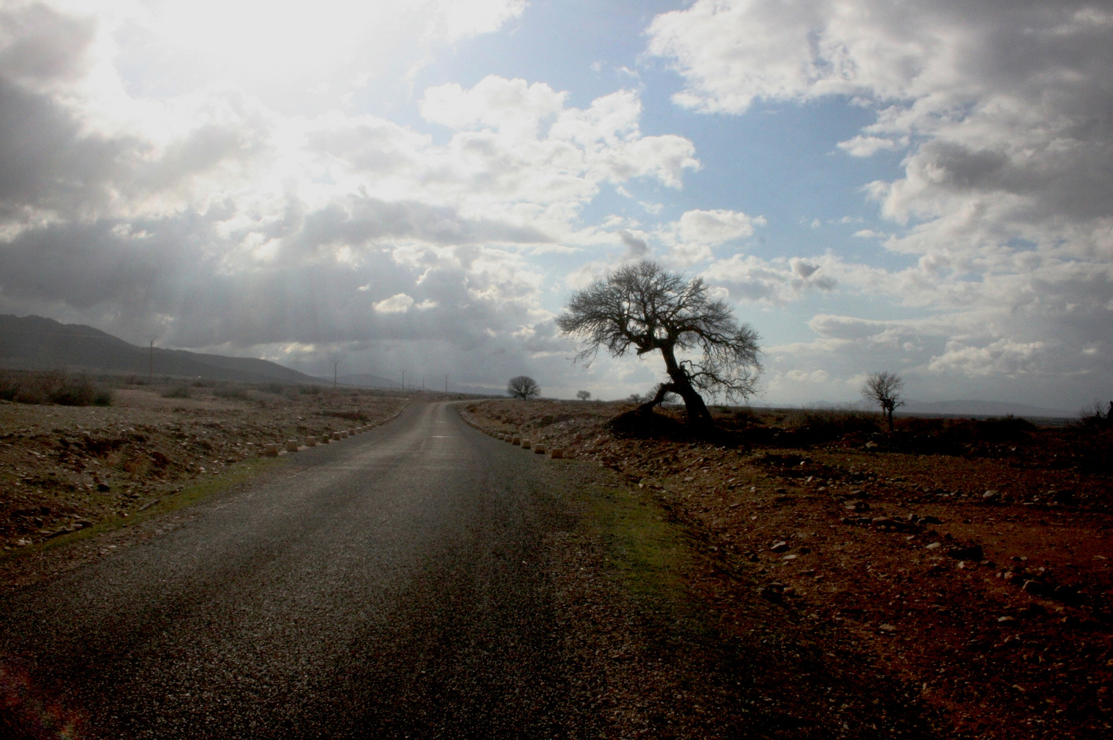 le long de la route