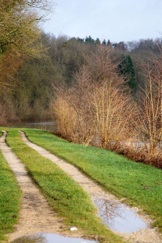 Le long de la Saône