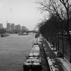 le long de la seine