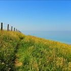 Le long du Gr21 entre Le Tréport et Dieppe