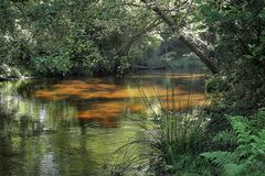 Le long du ruisseau !