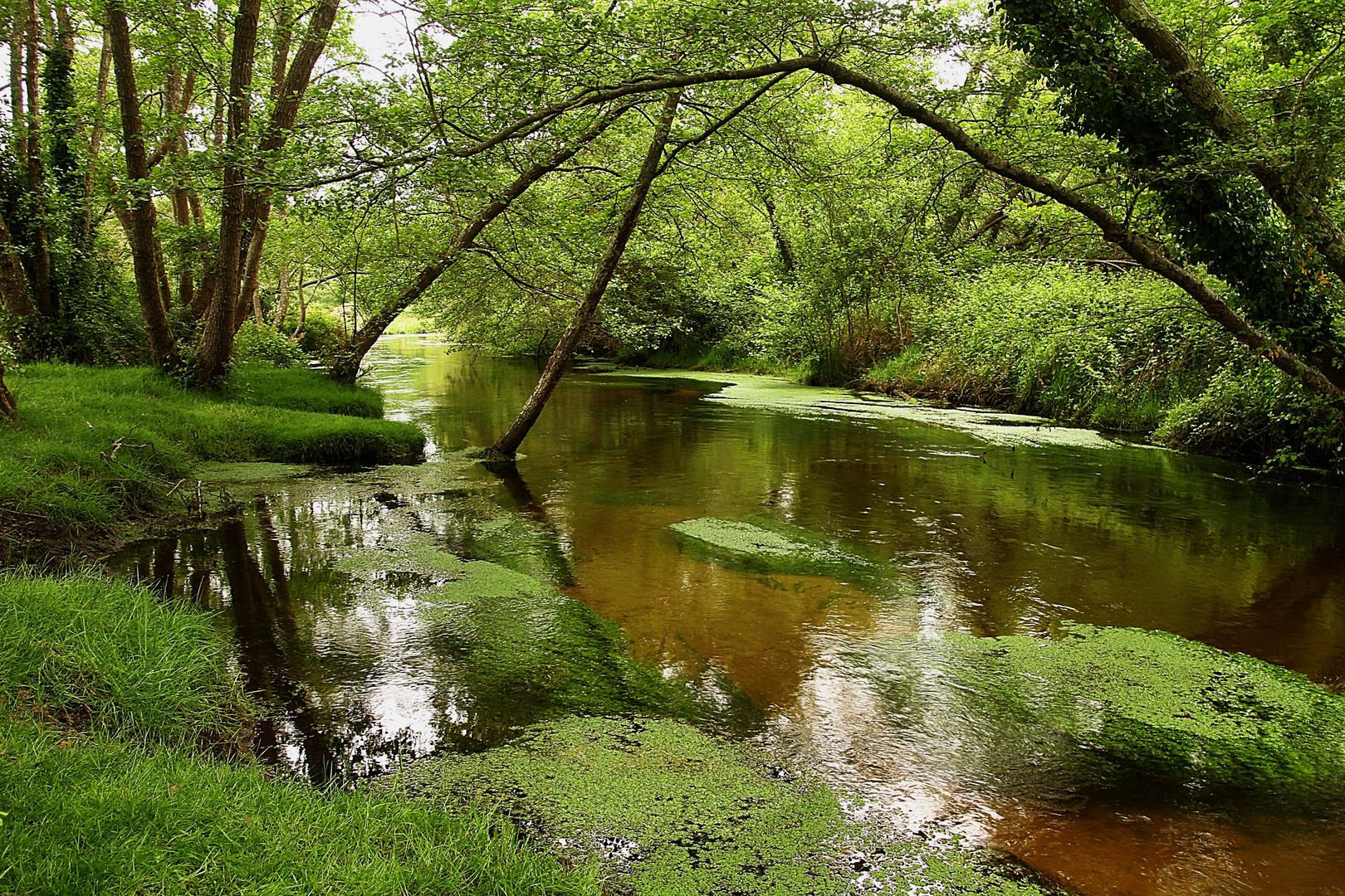 le long du ruisseau !