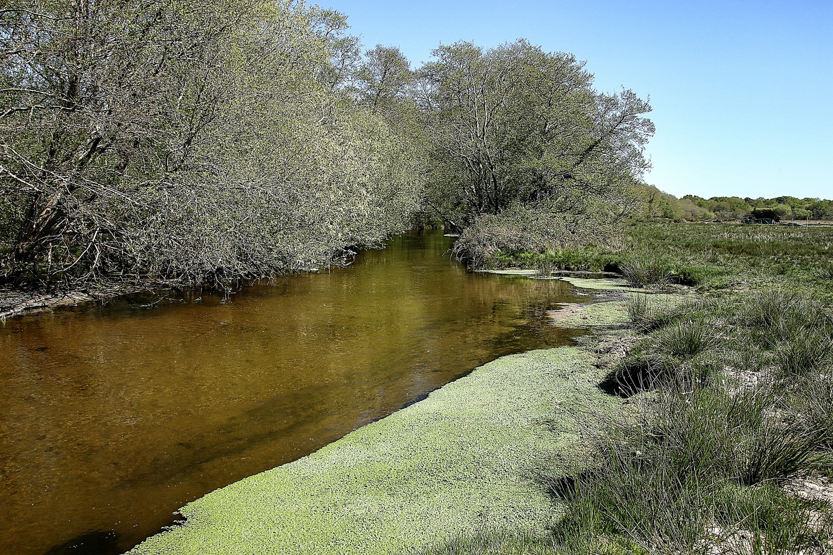 le long du ruisseau !