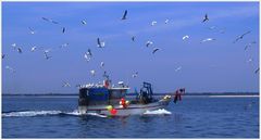 " Le low coast des mouettes un caseyeur qui rentre à port la forêt "