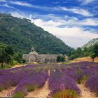 Le Luberon - Abbaye de Sénanque