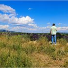 Le Luberon devant soi