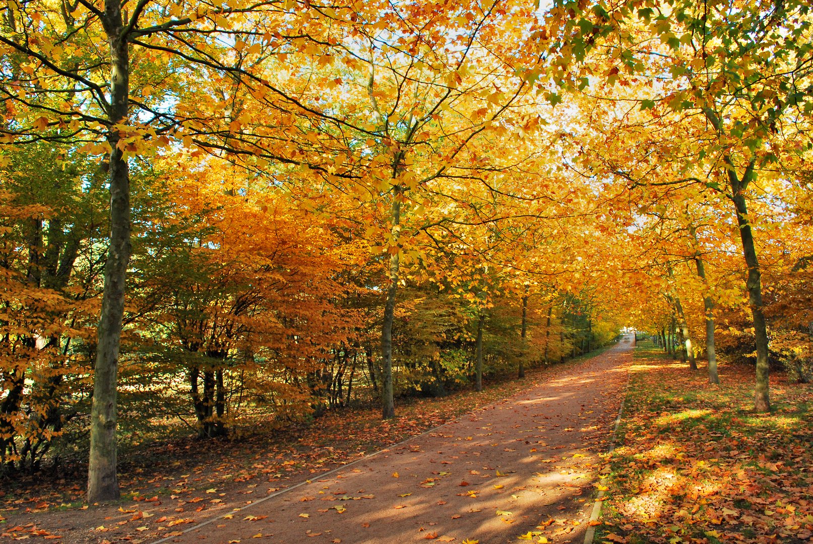 Le mail en automne