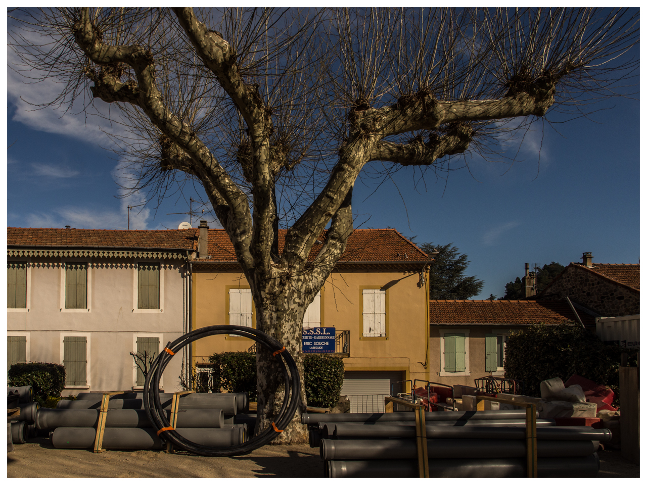 le maitre des lieux