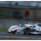 Le Mans Sieger 2013