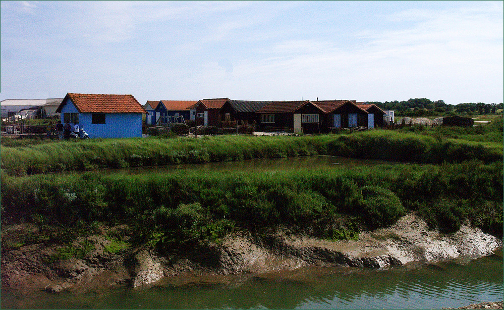 Le marais de la Seudre à Chaillevette – Die Meersaline von der Seudre in der Nähe von Chaillevette.