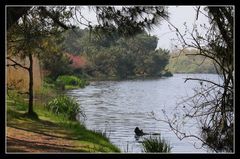 " Le marais de Mousterlin "