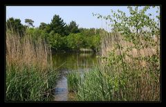 " Le marais de Mousterlin aujourd'hui "