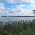 Le Marais d’Orx (Landes),