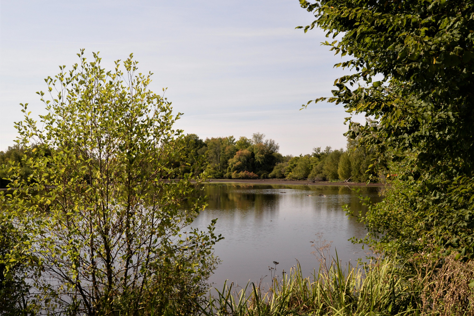 Le marais du Grand -Hazé (61)