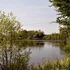 Le marais du Grand -Hazé (61)