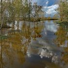 le marais inondè.....en fin de journèe.