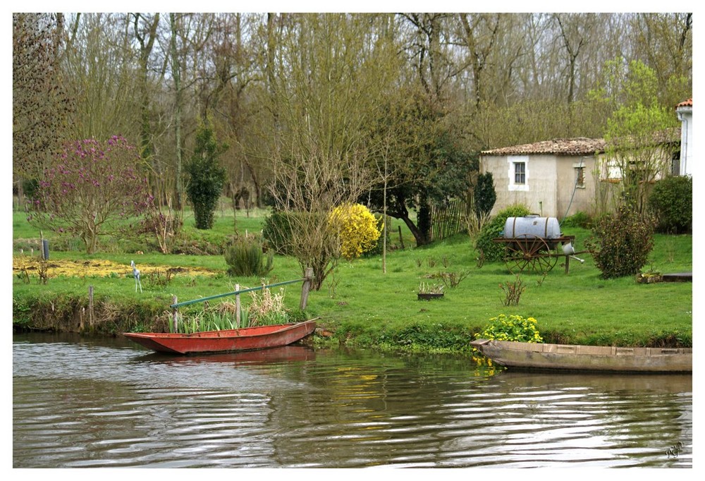 Le marais Poitevin