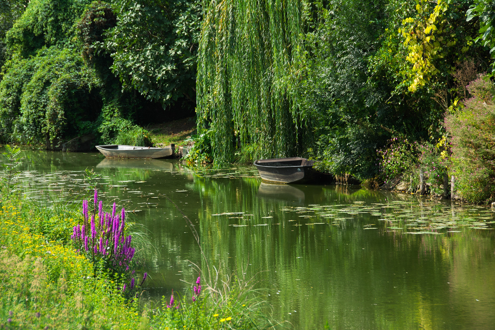 Le Marais Poitevin Foto & Bild france, world, natur Bilder auf