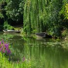 Le Marais Poitevin