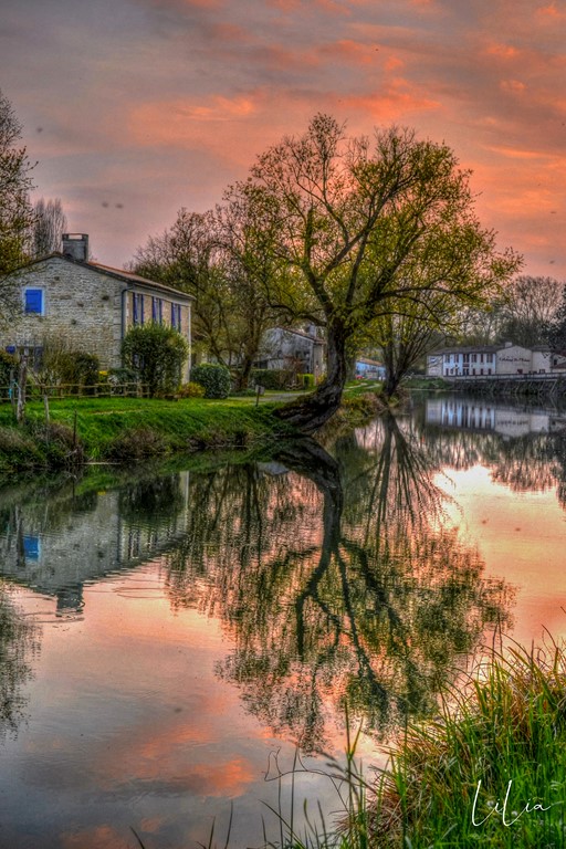 Le Marais Poitevin, Deux-Sèvres (79)