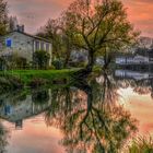 Le Marais Poitevin, Deux-Sèvres (79)