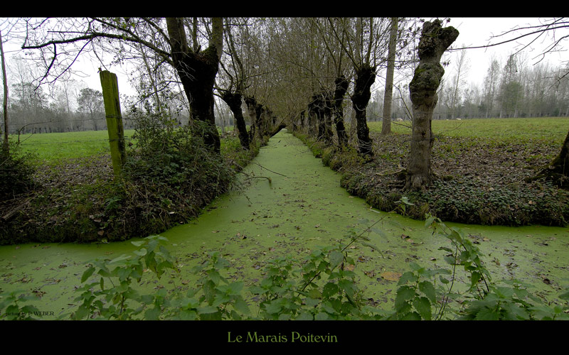 Le Marais Poitevin