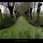 Le Marais Poitevin