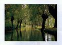 LE MARAIS POITEVIN VERDOYANT de ligerien 