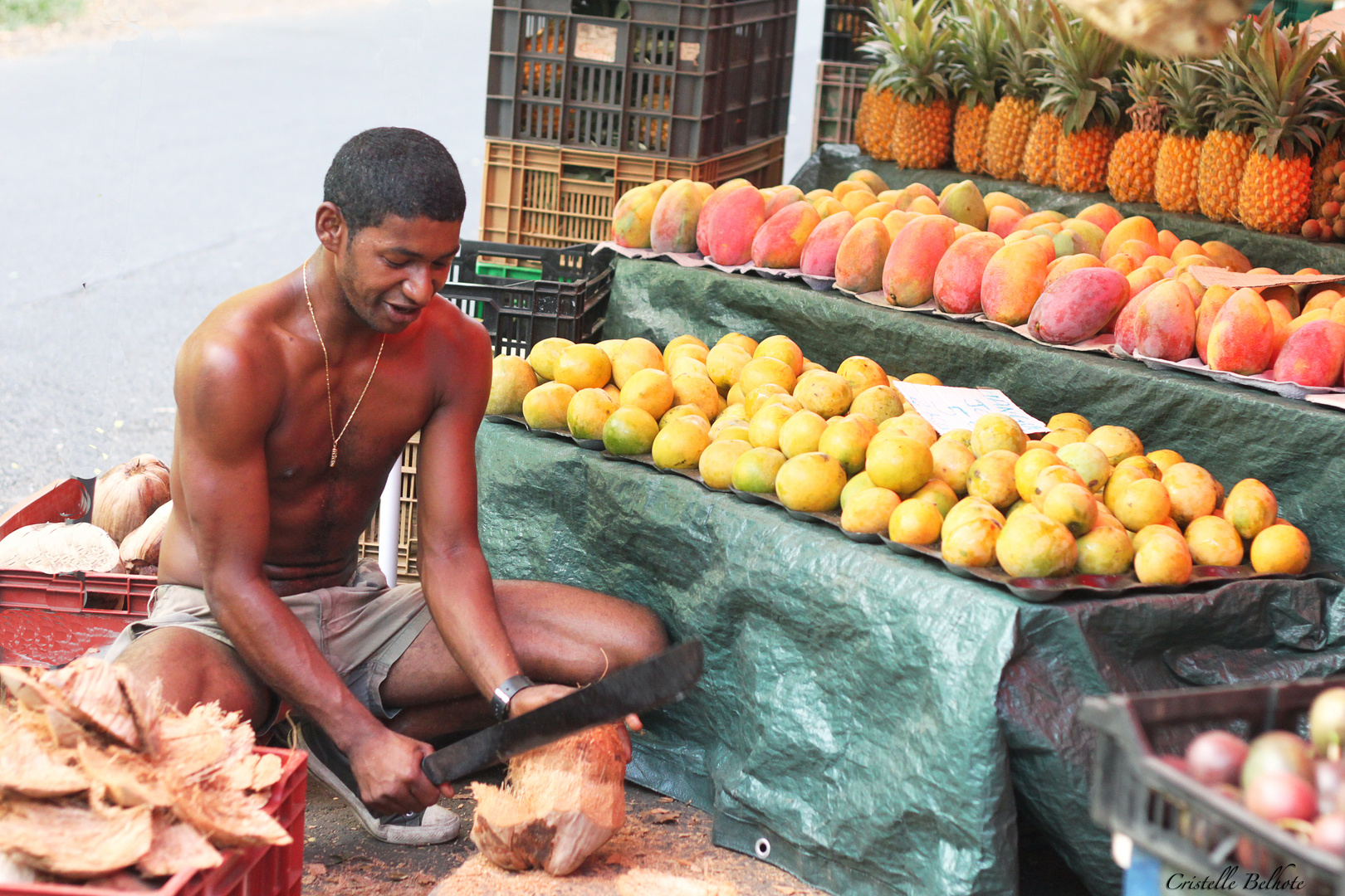 Le marchand de fruits et légumes