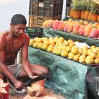 Le marchand de fruits et légumes