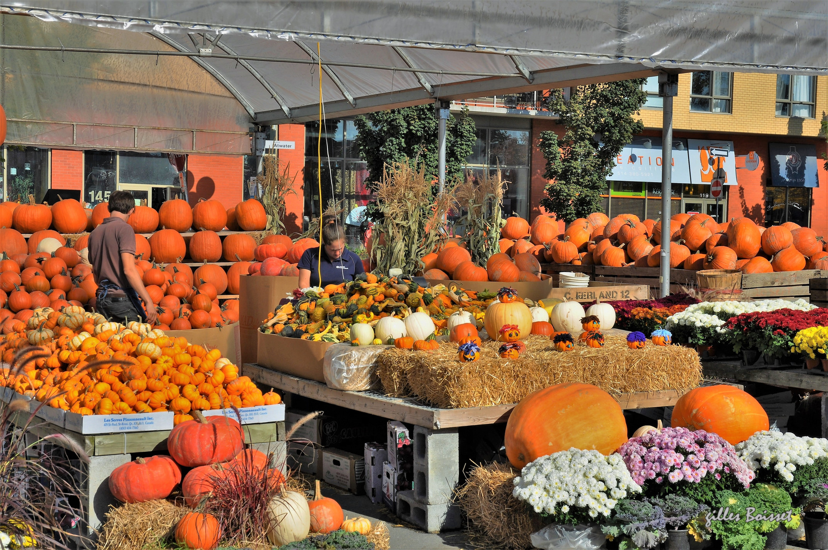 le marché Atwater à Montréal