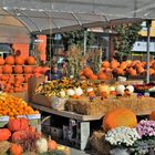 le marché Atwater à Montréal