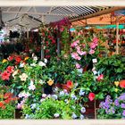 Le marché aux fleurs