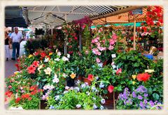 Le marché aux fleurs