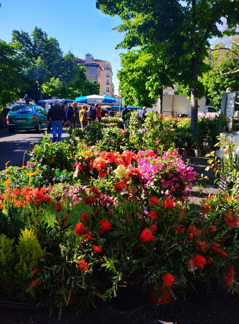 Le marché aux fleurs