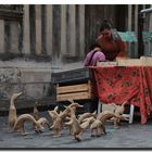 Le marché aux volailles