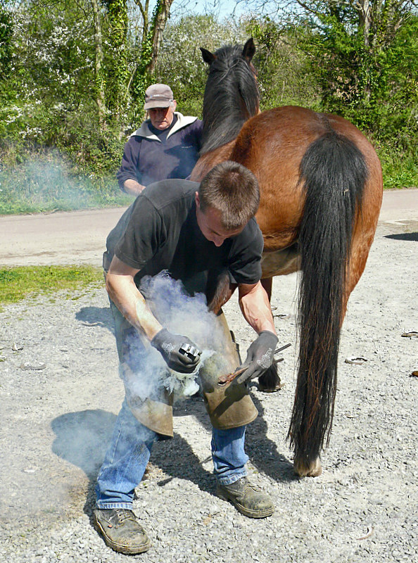 Le maréchal ferrant à la ferme